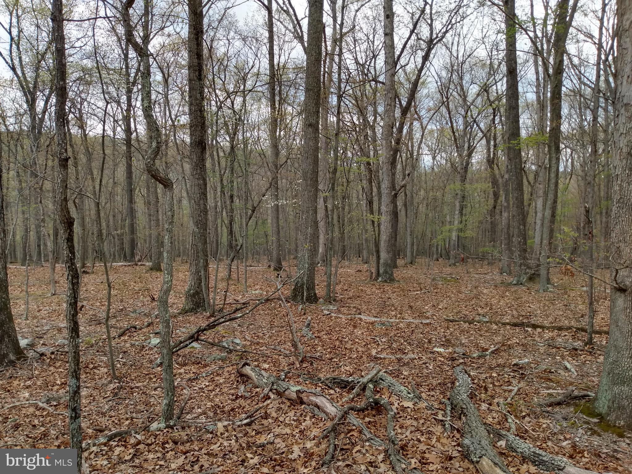 ROUSE MOUNTAIN - Land