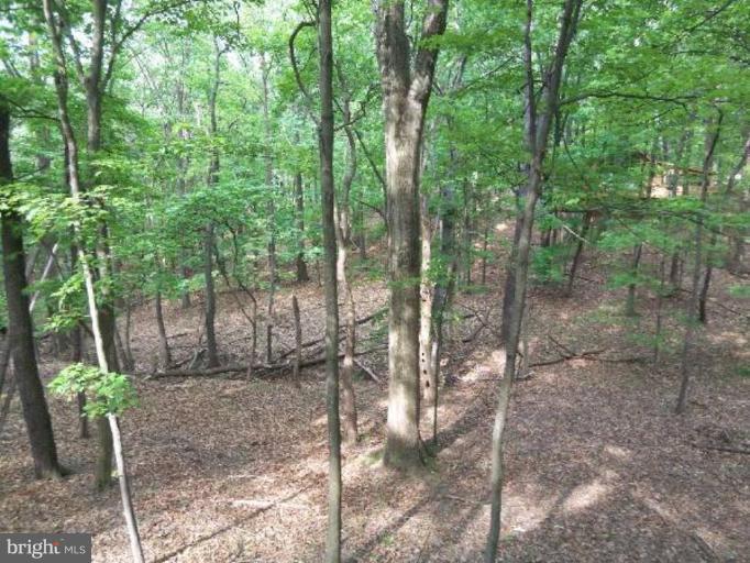 THE WOODS - Residential