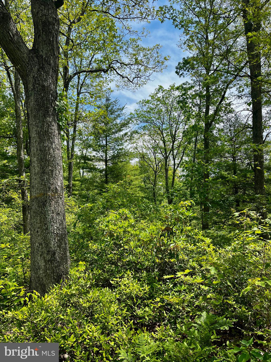 19 BEECH CREEK MOUNTAIN ROAD