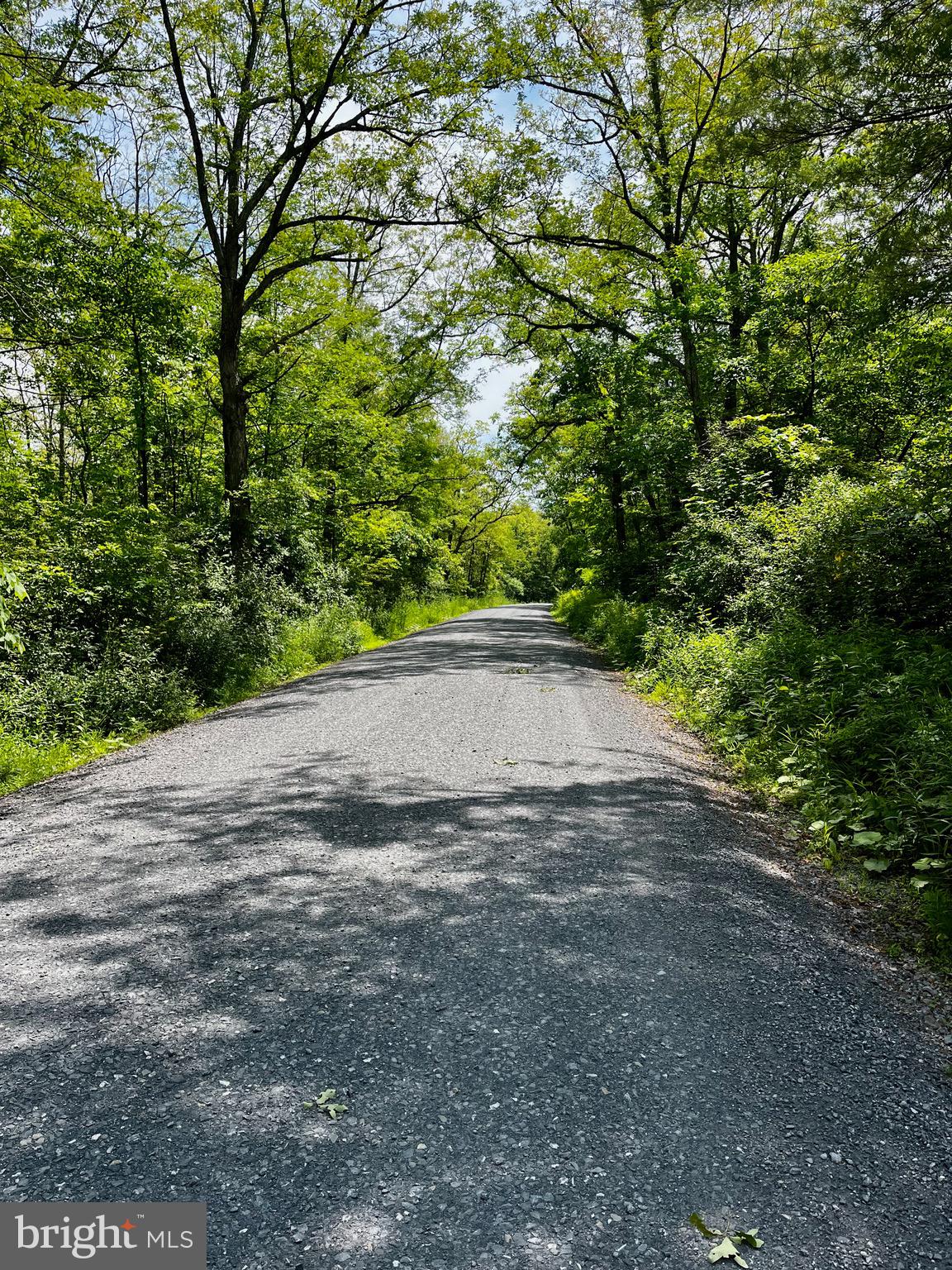 19 BEECH CREEK MOUNTAIN ROAD