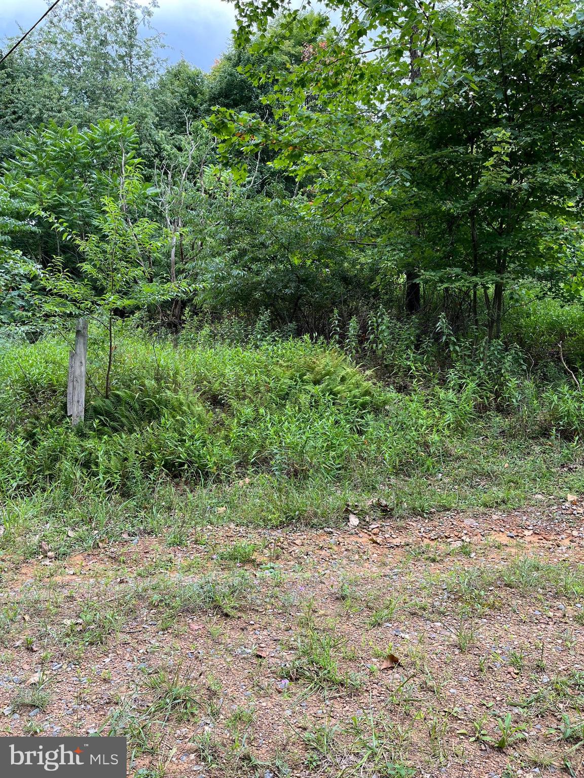 VALLEY HIGH TIMBER FARMS - Land