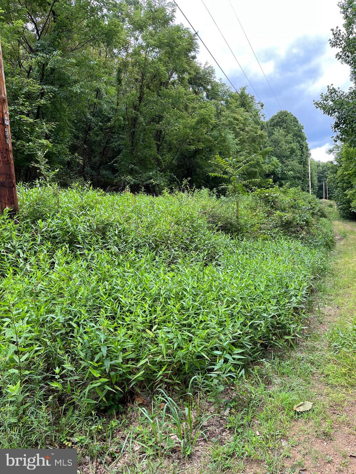 VALLEY HIGH TIMBER FARMS - Land