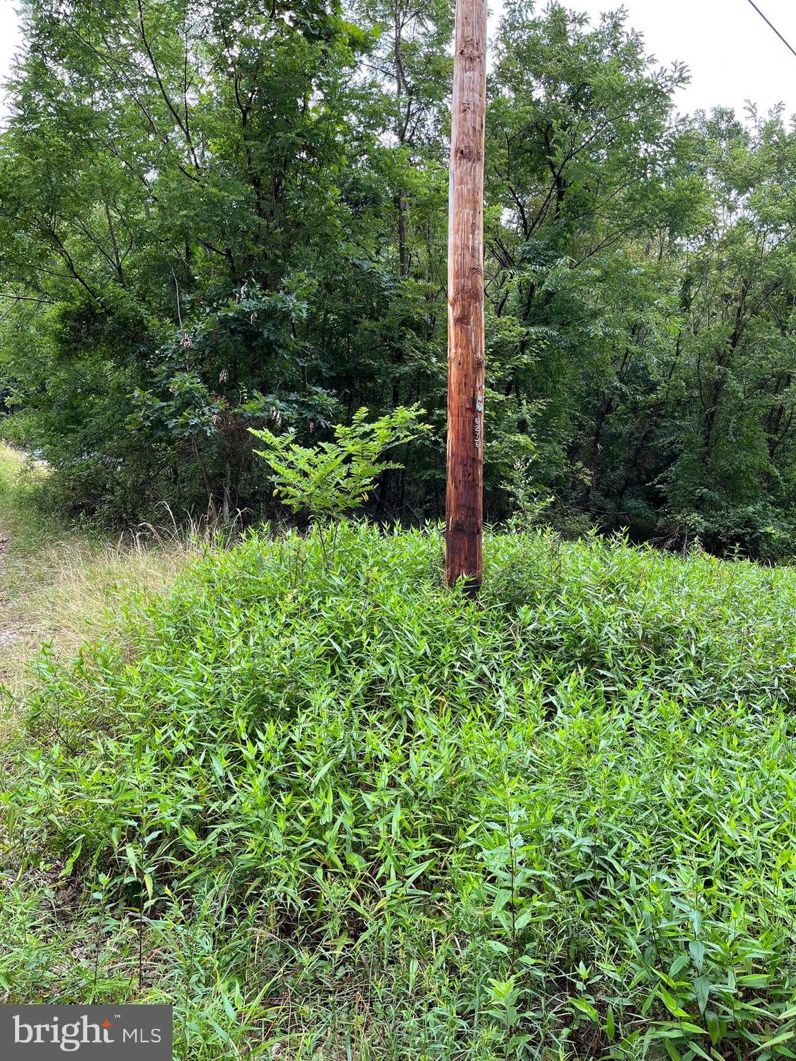 VALLEY HIGH TIMBER FARMS - Land