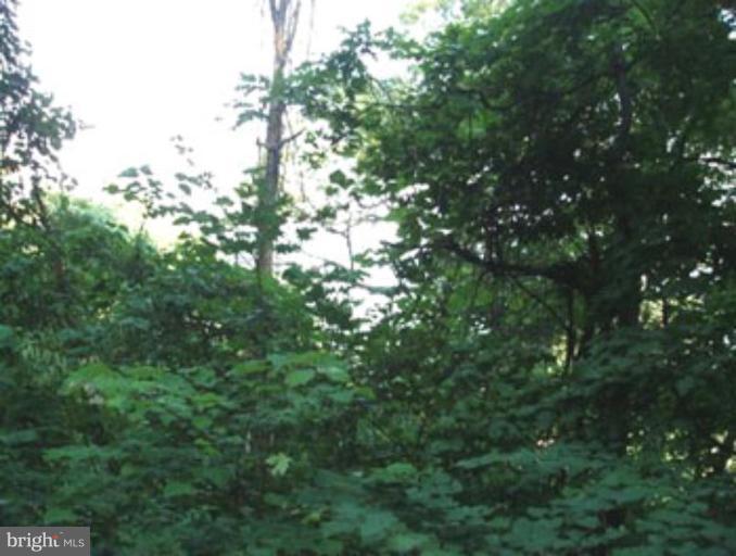 VALLEY HIGH TIMBER FARMS - Land