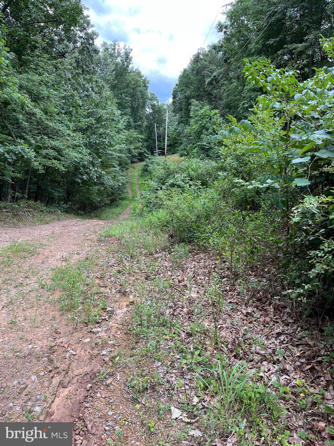 VALLEY HIGH TIMBER FARMS - Land