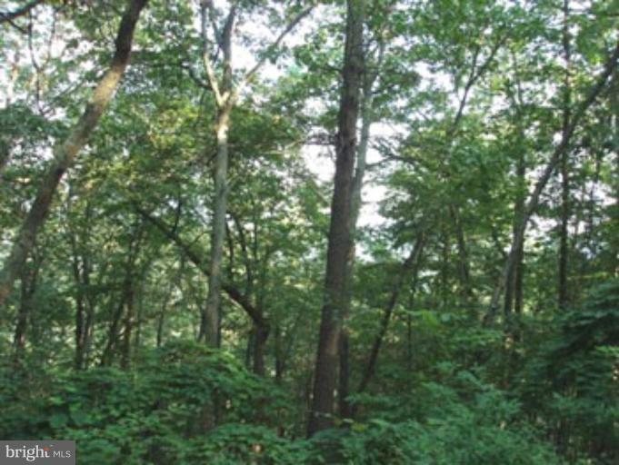 VALLEY HIGH TIMBER FARMS - Land