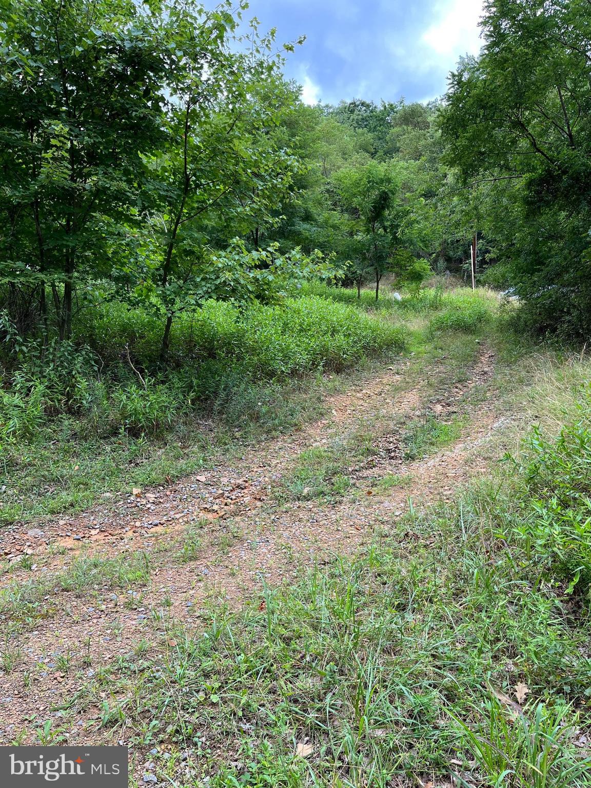 VALLEY HIGH TIMBER FARMS - Land