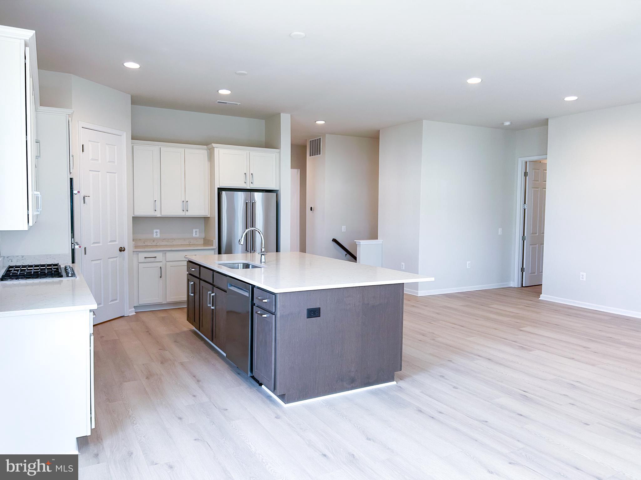 HIATT POINTE AT SNOWDEN BRIDGE - Residential