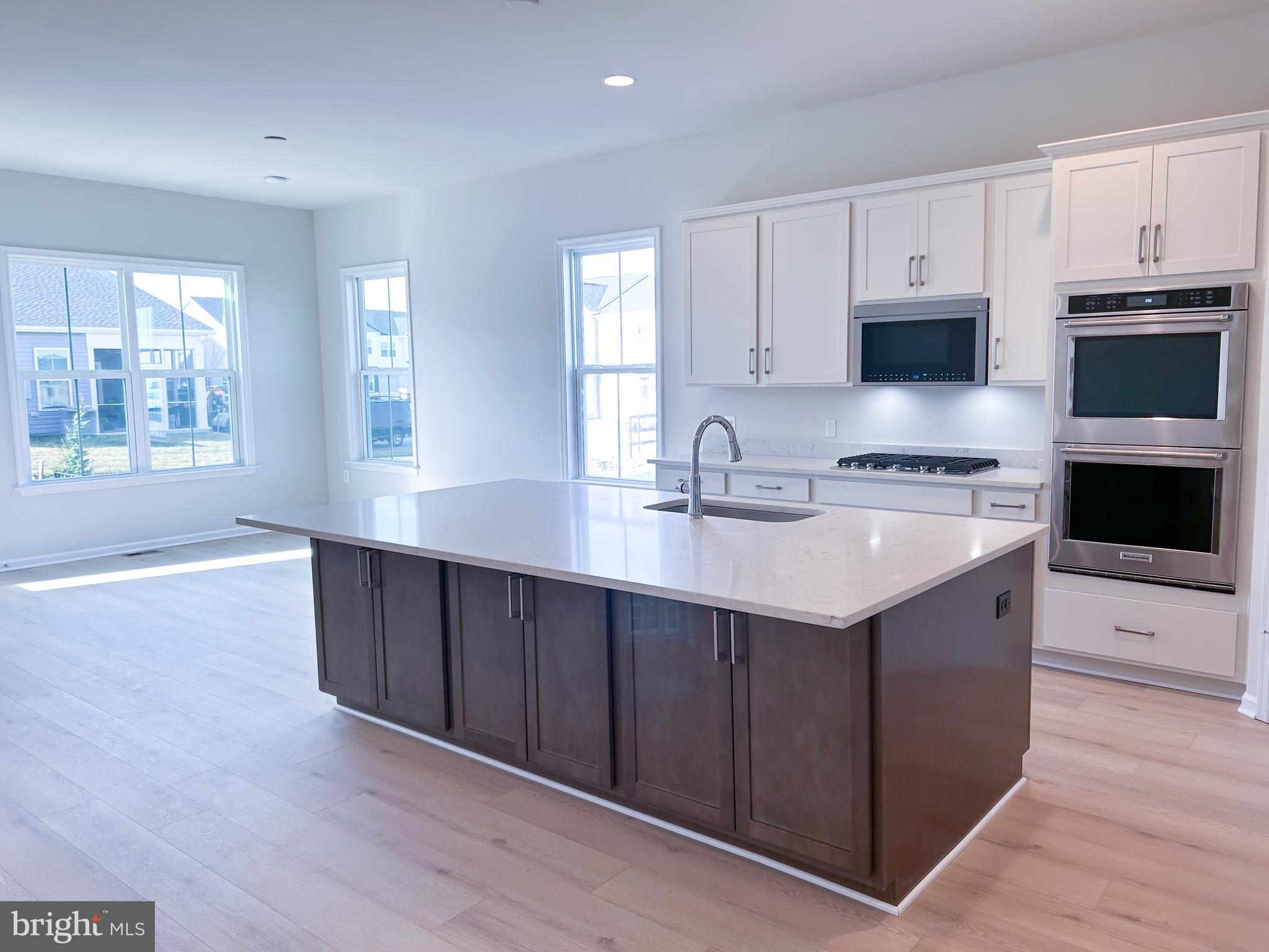 HIATT POINTE AT SNOWDEN BRIDGE - Residential