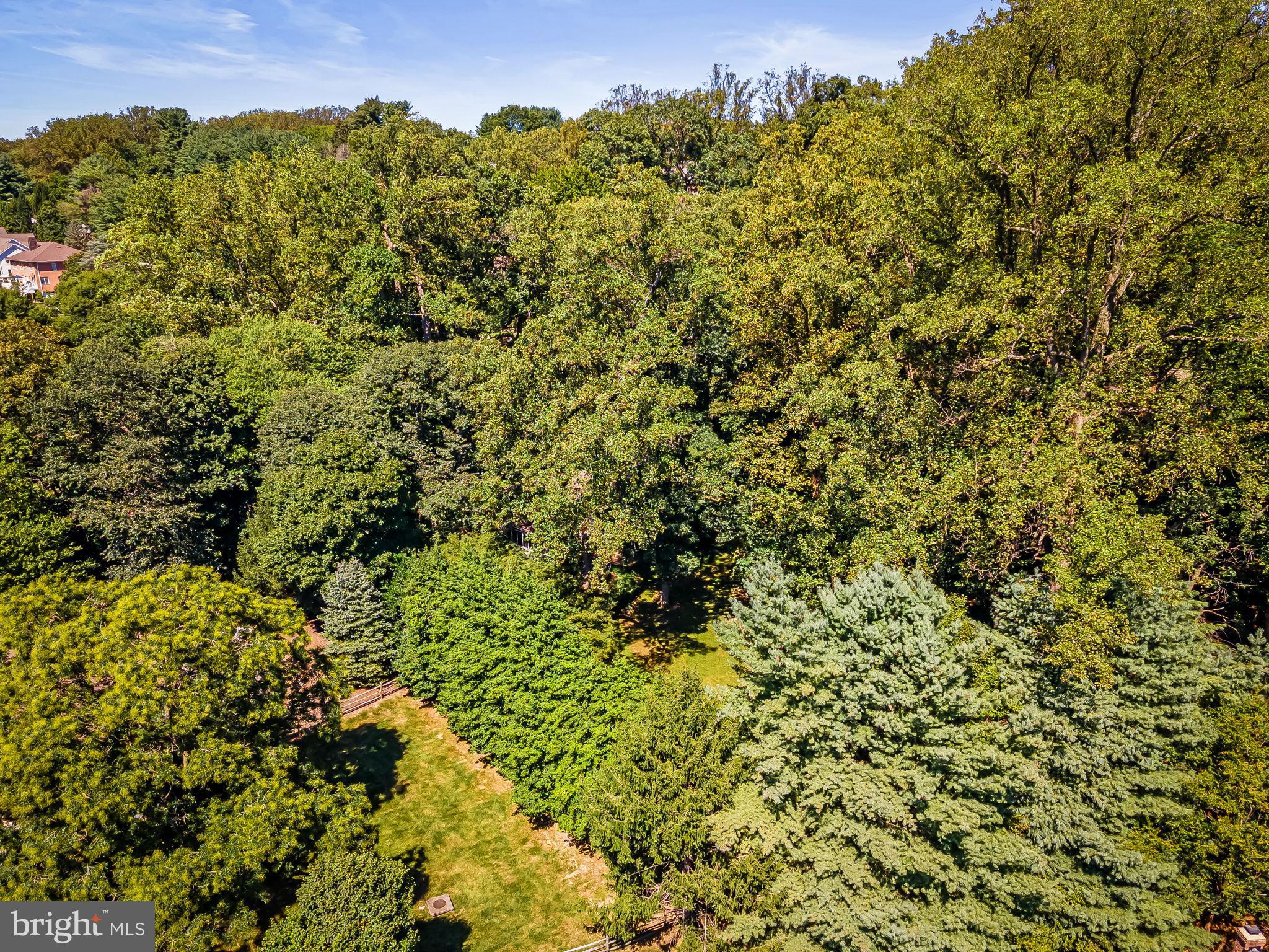 THE HILLSIDE AT SEMINARY - Residential