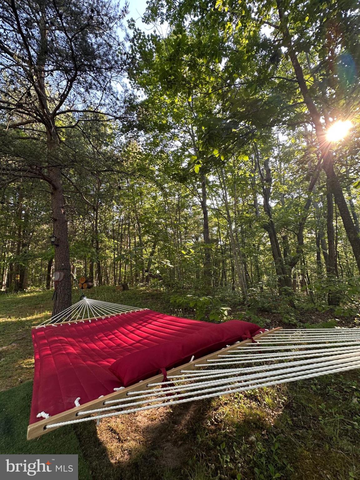MASSANUTTEN FOREST - Residential