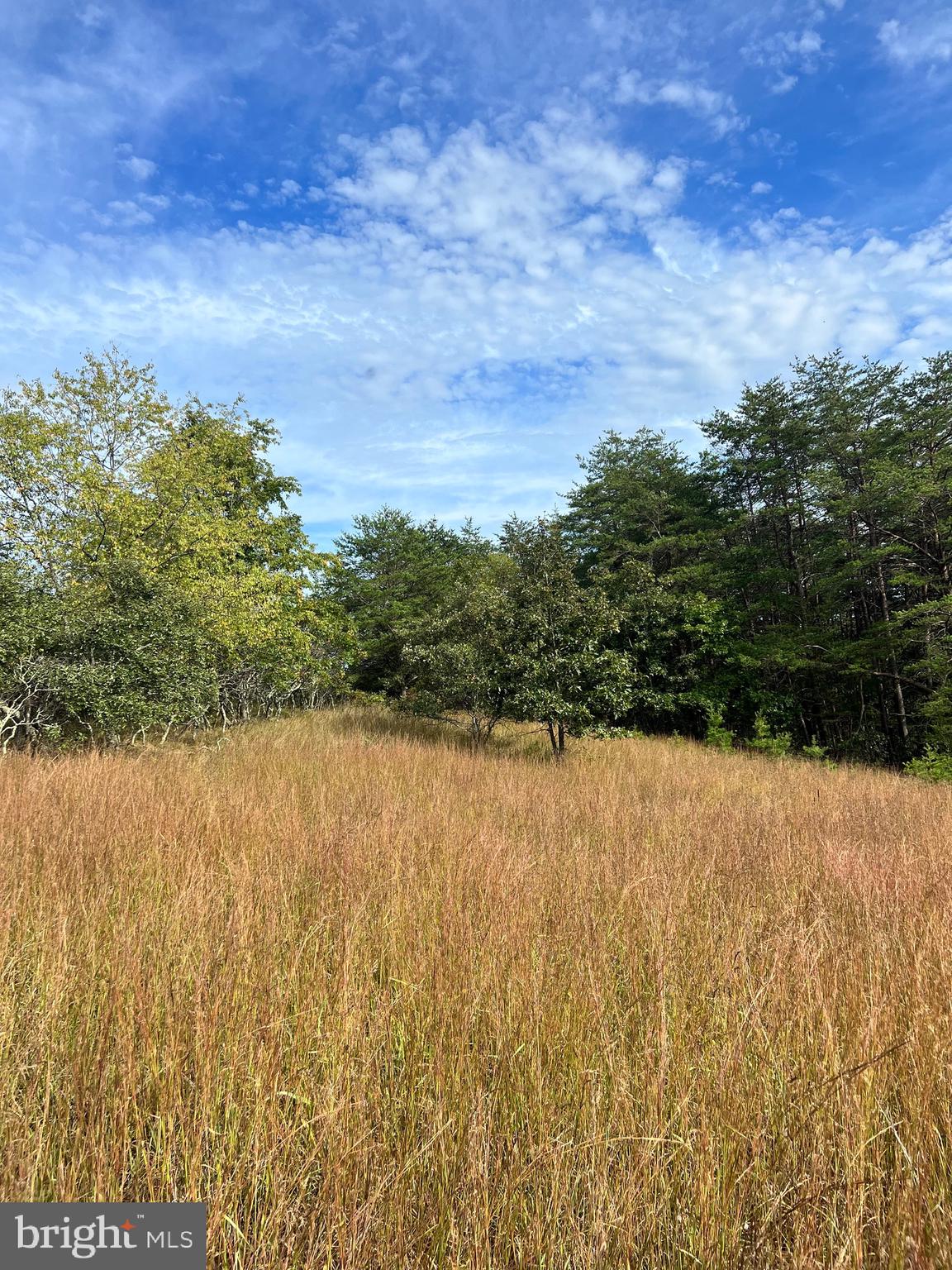 OLD FURNACE ROAD - Land