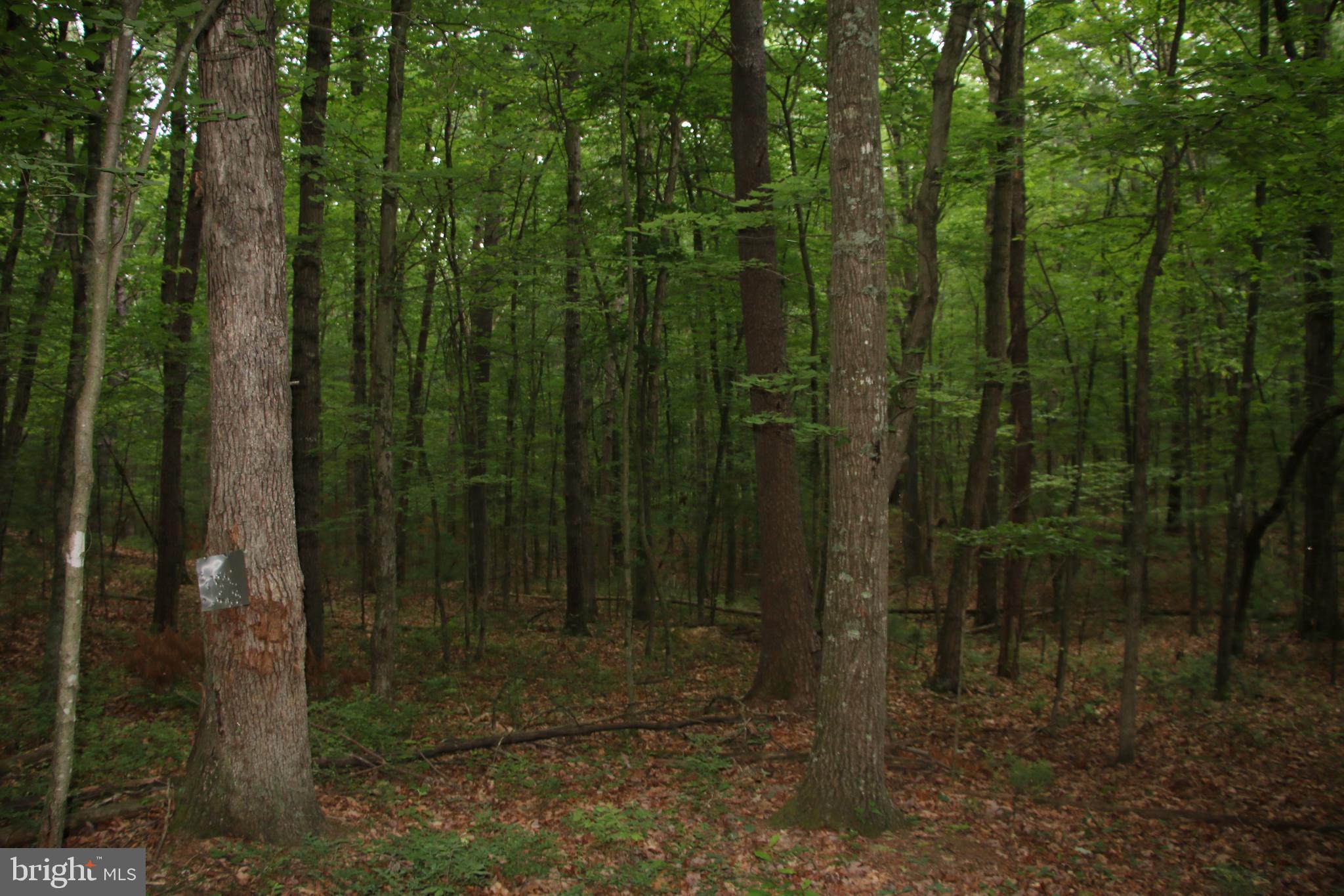 DELAWDER O'BRIEN LAND - Land