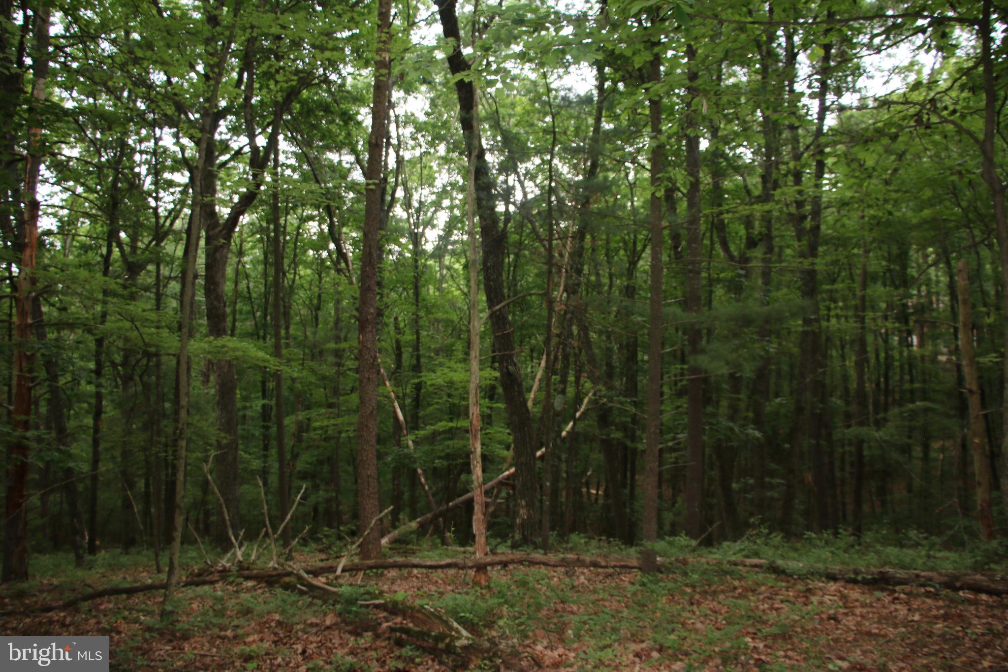 DELAWDER O'BRIEN LAND - Land