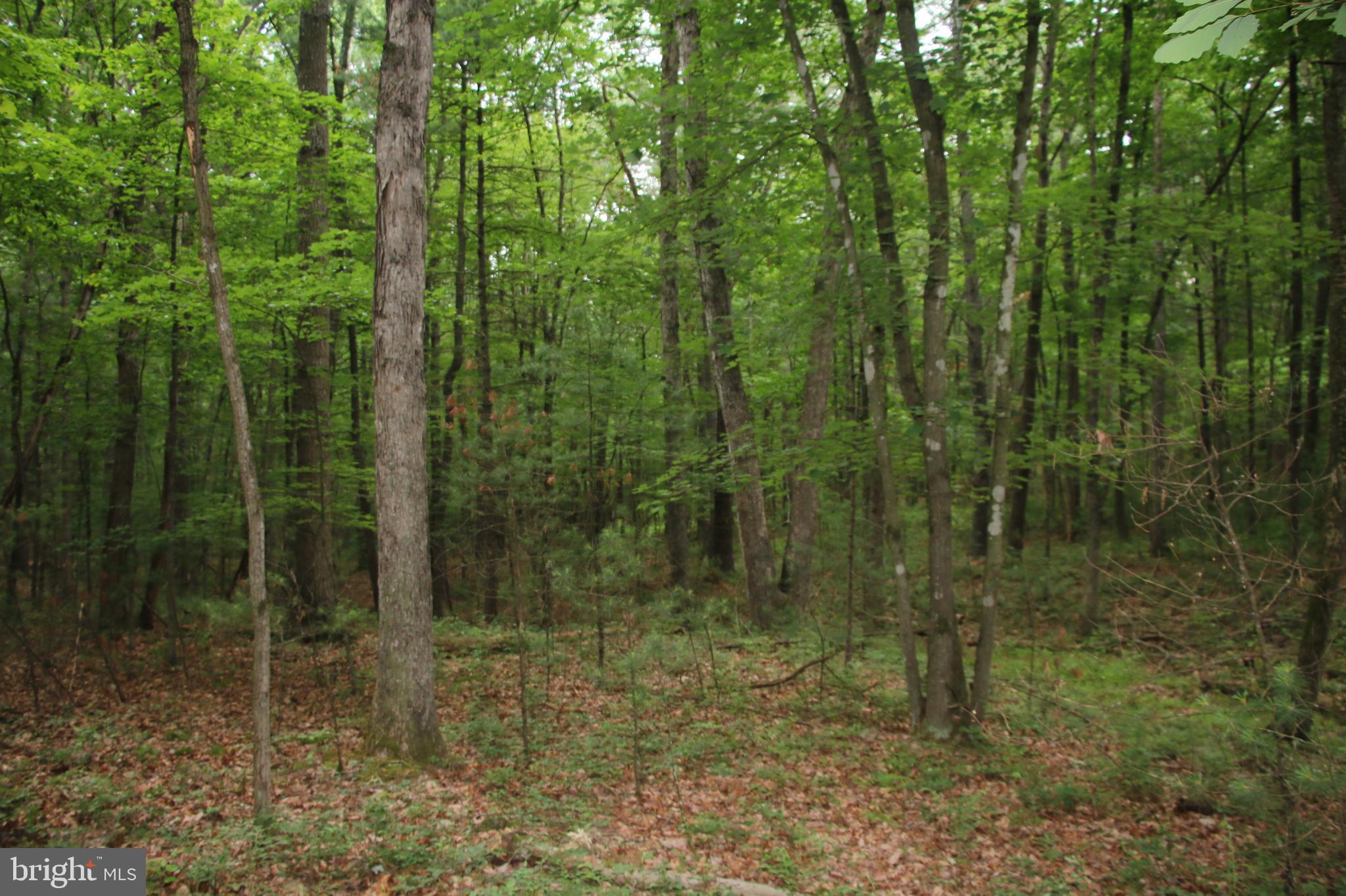 DELAWDER O'BRIEN LAND - Land