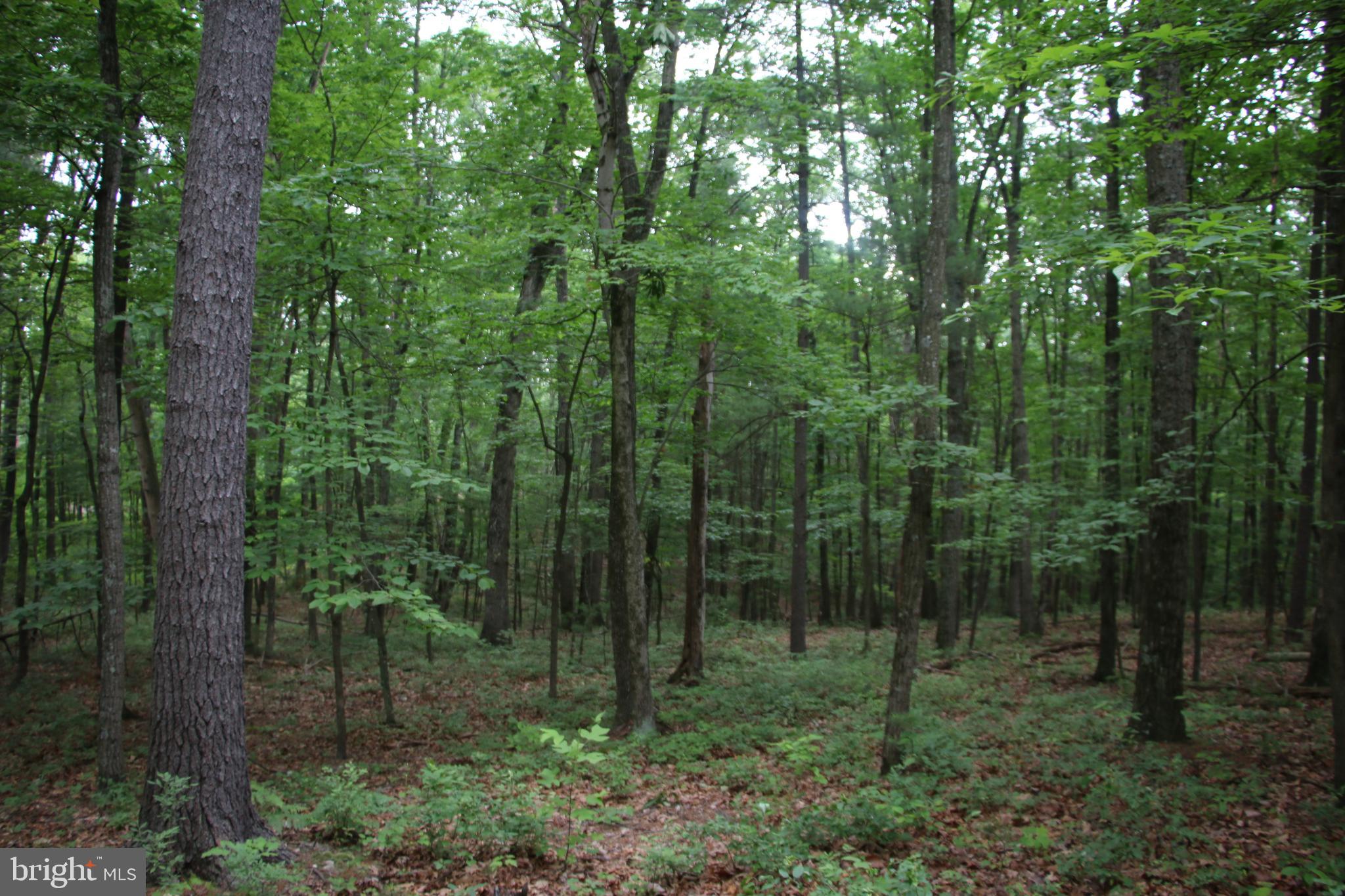 DELAWDER O'BRIEN LAND - Land