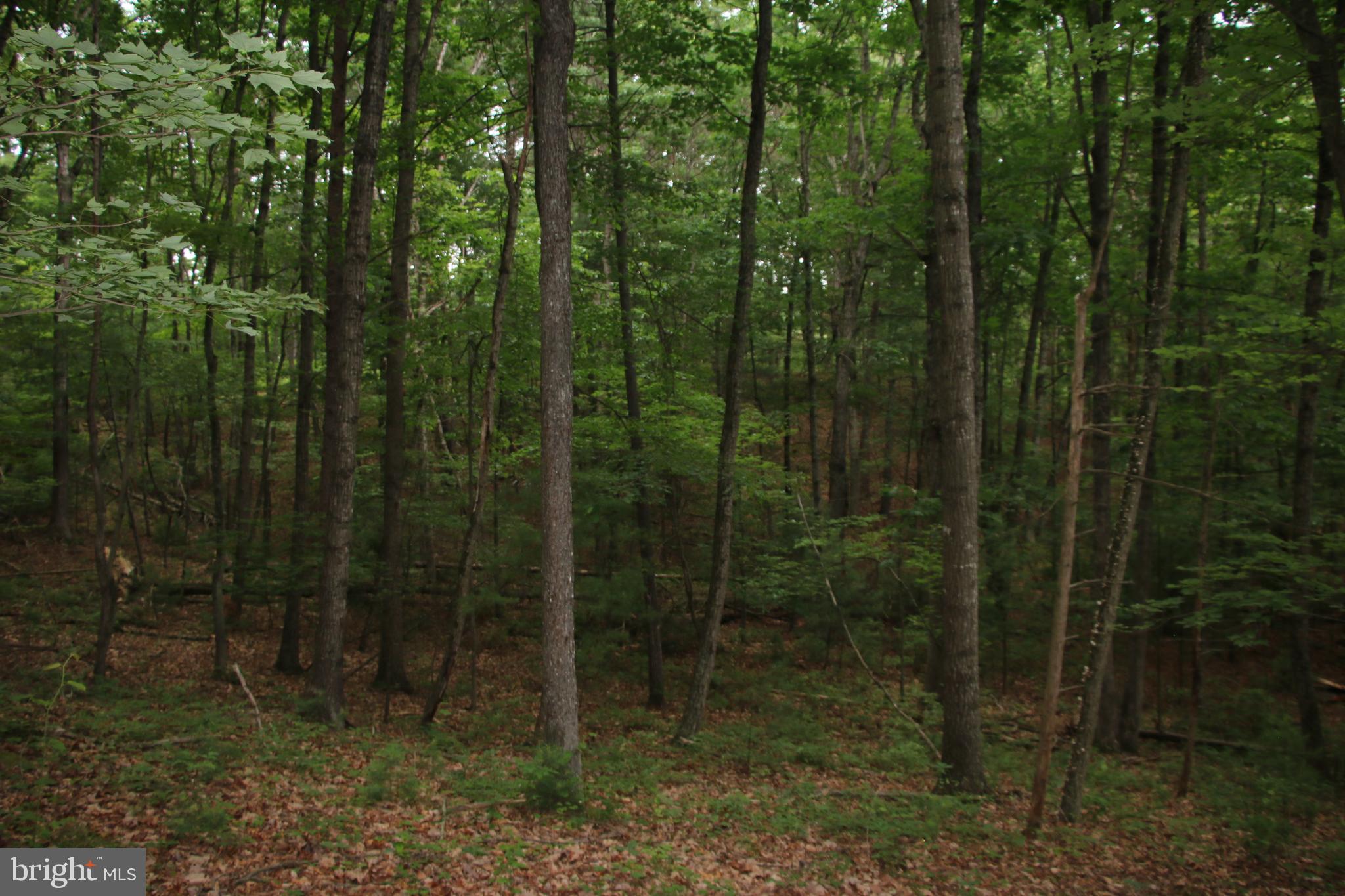 DELAWDER O'BRIEN LAND - Land