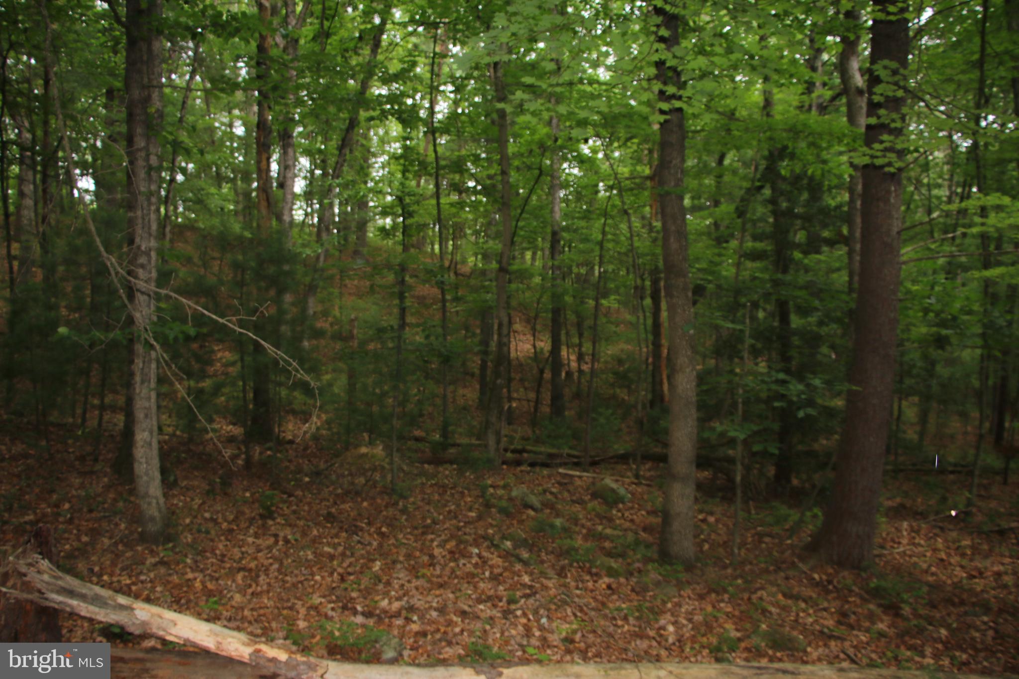 DELAWDER O'BRIEN LAND - Land