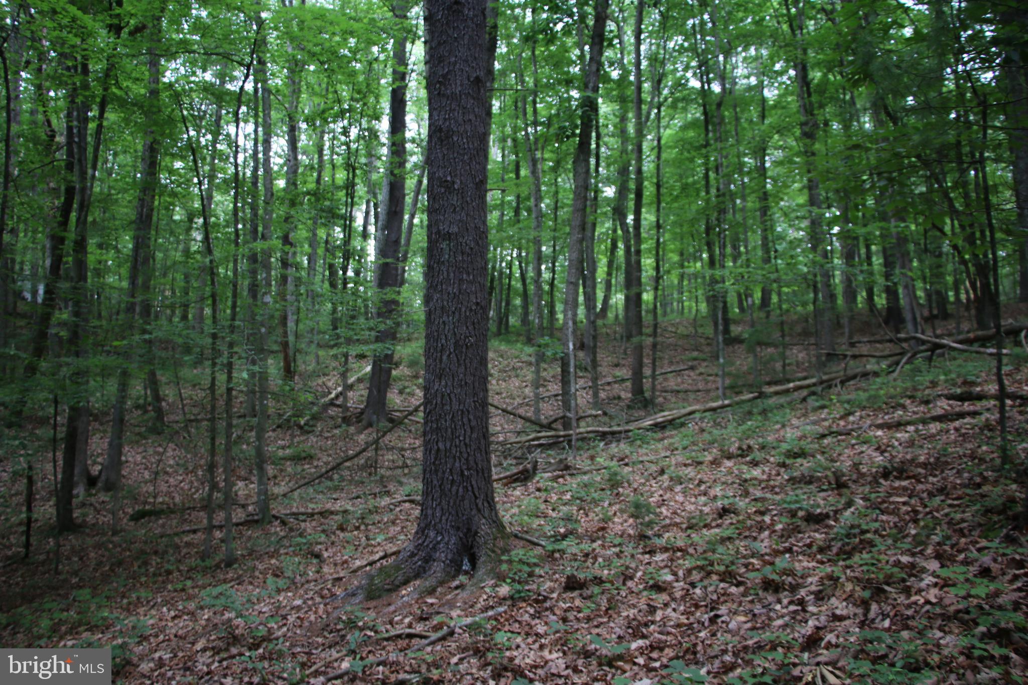 DELAWDER O'BRIEN LAND - Land