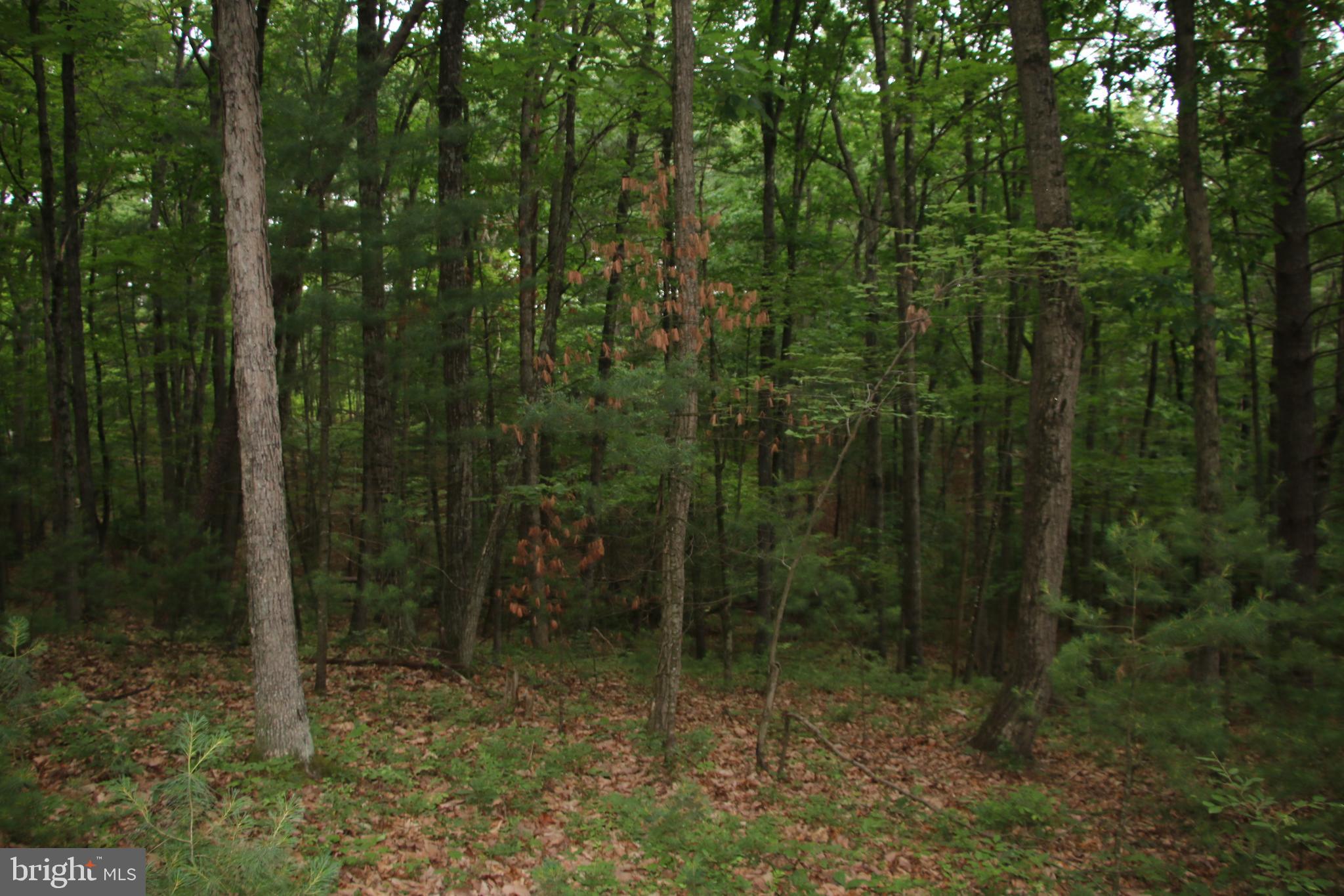 DELAWDER O'BRIEN LAND - Land