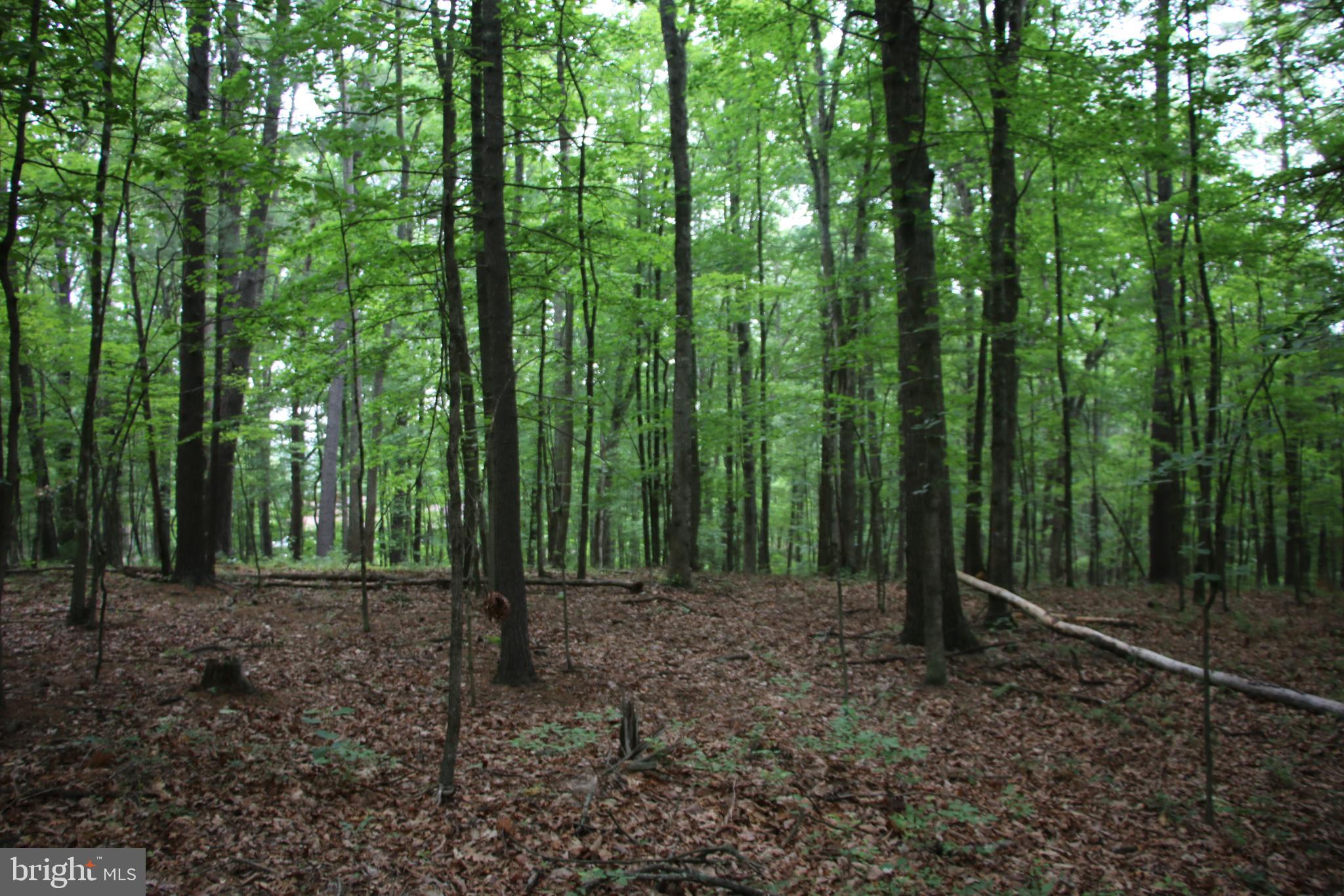 DELAWDER O'BRIEN LAND - Land