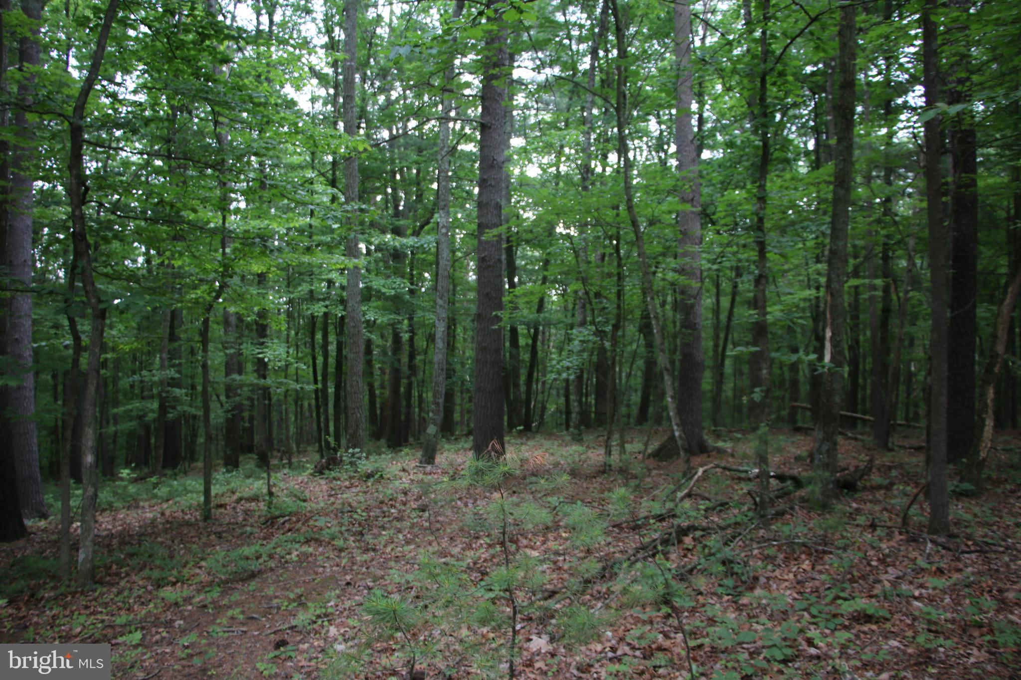 DELAWDER O'BRIEN LAND - Land