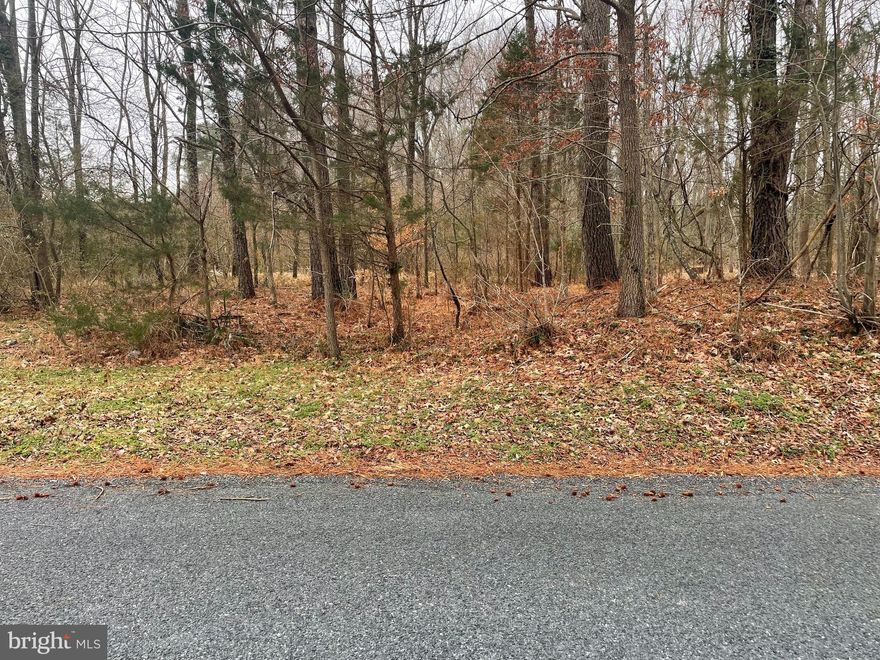 1.1+/- acre wooded lot with sandy soils favorable for a perc to build a home. Located near the Nanticoke River and multiple public boat ramp sites, as well as thousands of acres of state land, this lot offers a place to have a home near multiple recreational opportunities while being close to local amenities and major arteries to the beaches and urban areas.