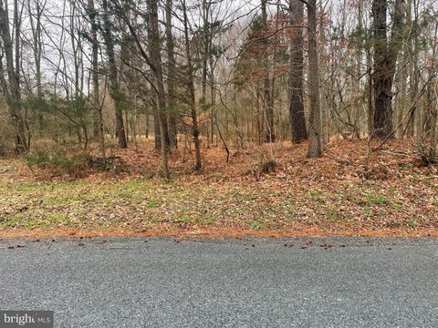Vacant Land For Sale - Wetipquin Road<br/> QUANTICO, MD 21856