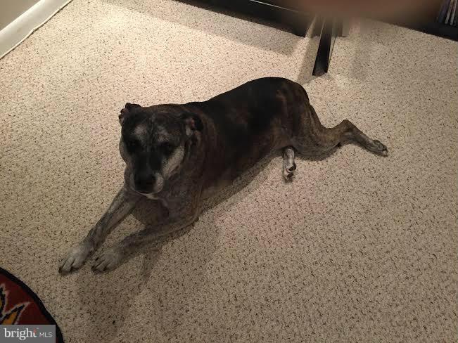 CAPE ST CLAIRE - Residential