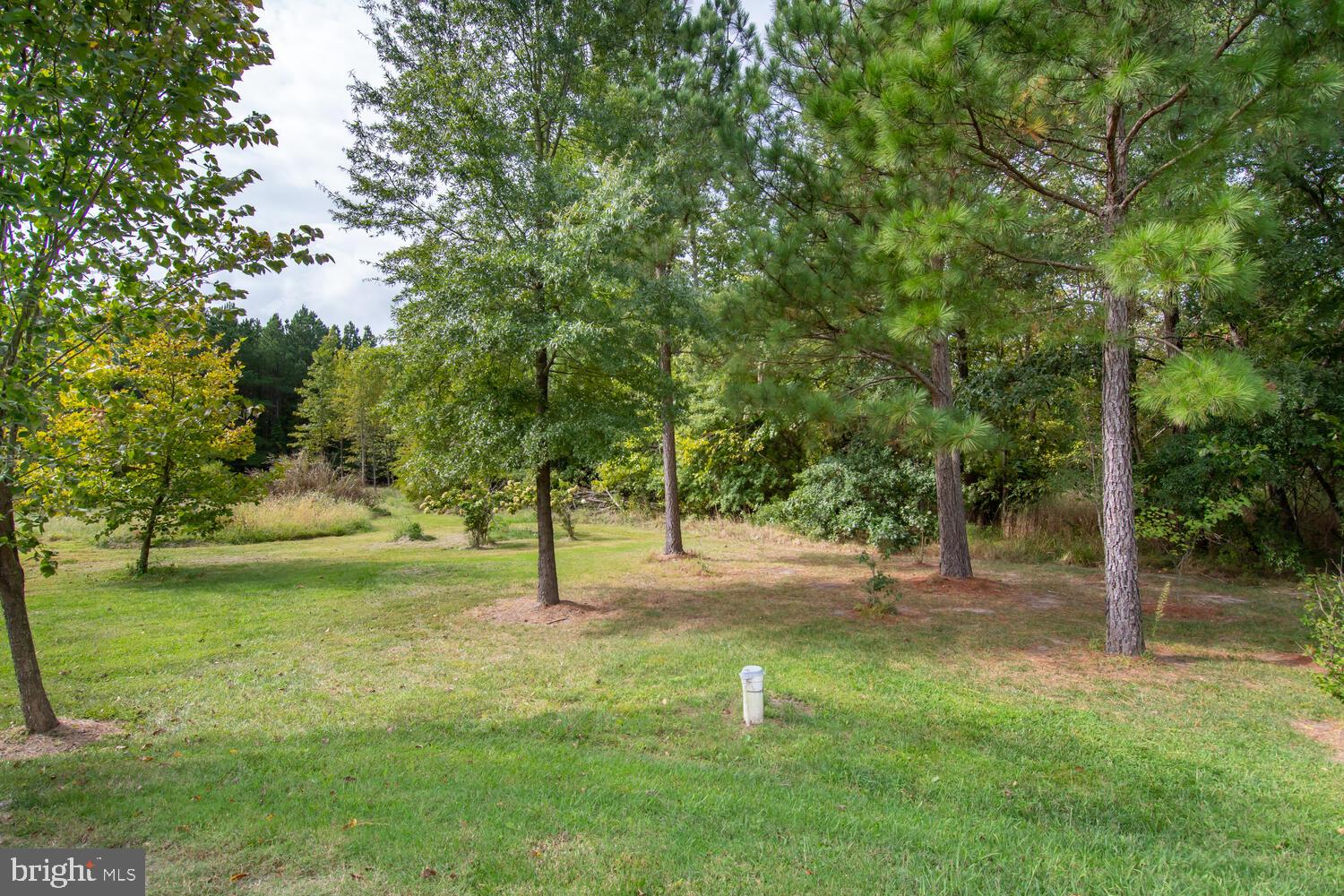 ROYAL OAK - Residential