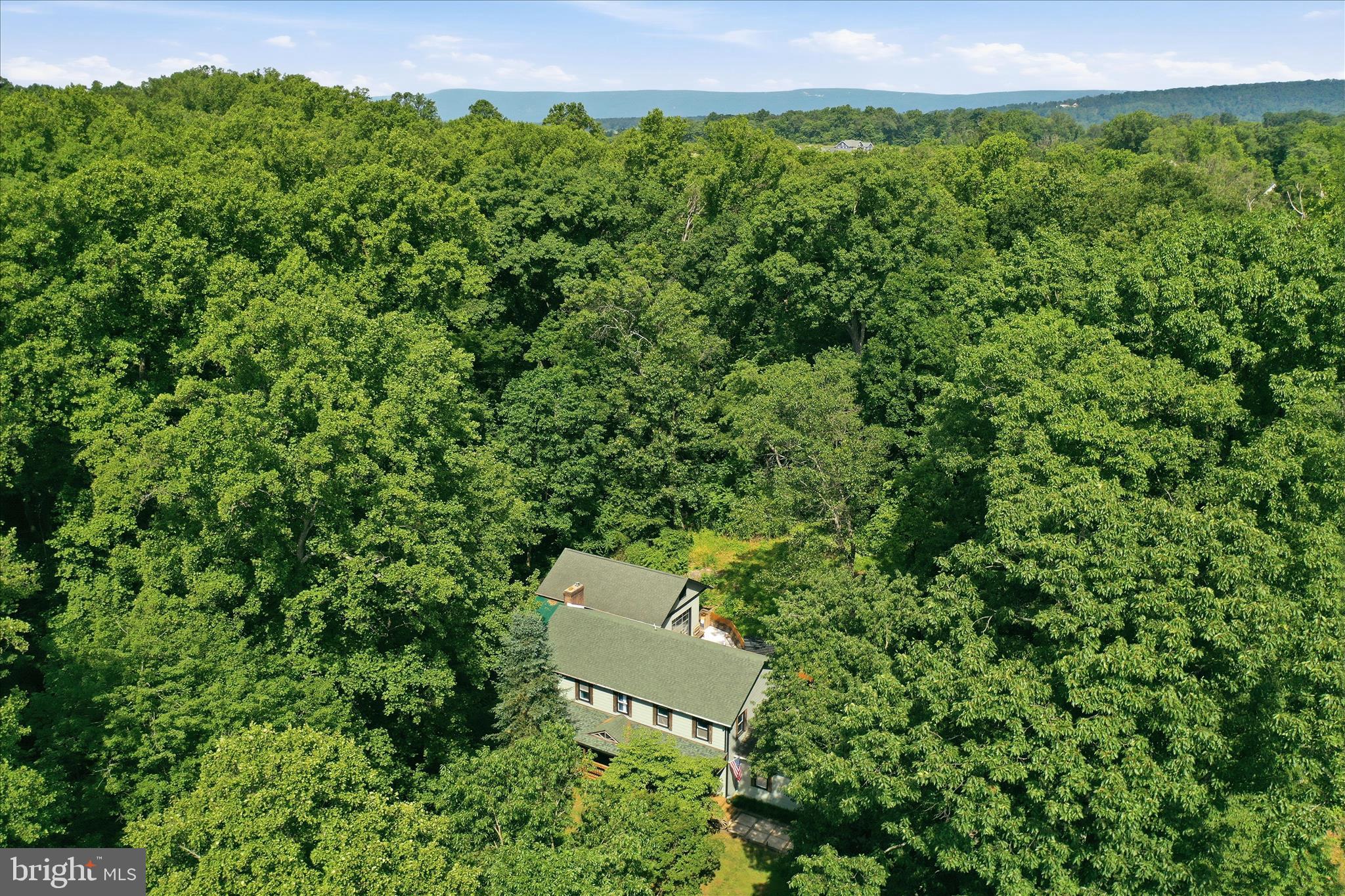 137 OLD FOREST CIRCLE