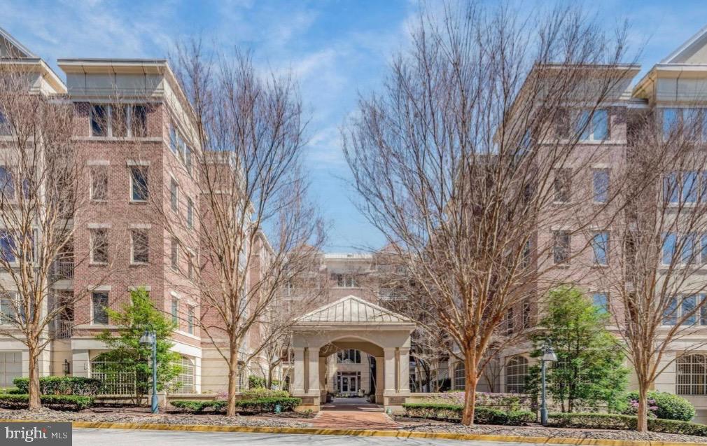 10205 WINCOPIN CIRCLE 302