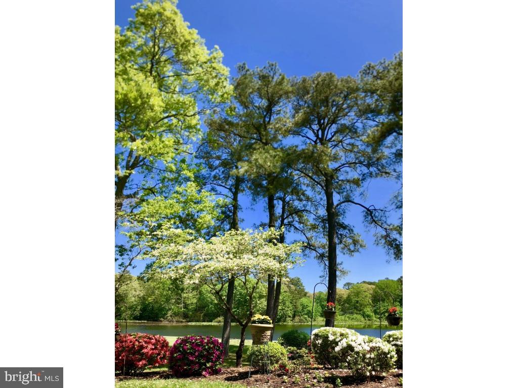 CANAL WOODS CM - Residential