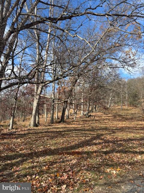 EWING ESTATES - Land