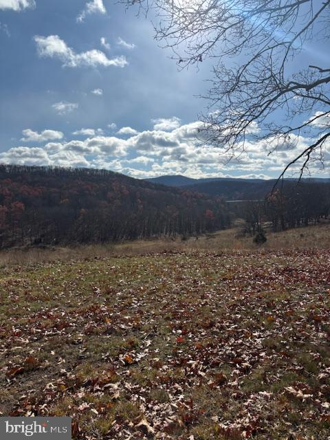 EWING ESTATES - Land