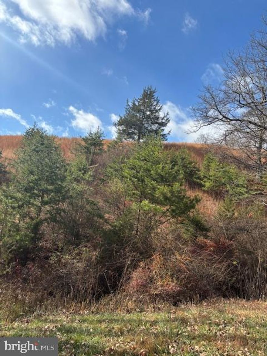 Great opportunity to own a beautiful lot in Ewing Estates. Lot has a gradual slope with a great spot  for building a home with spectacular views.  There is  very nice gravel to the building site. Lot is also partially wooded.  Ewing Estates is located just 12 miles from Moorefield for shopping, 20 minutes to Lost River and 40 minutes to Black Water Falls.