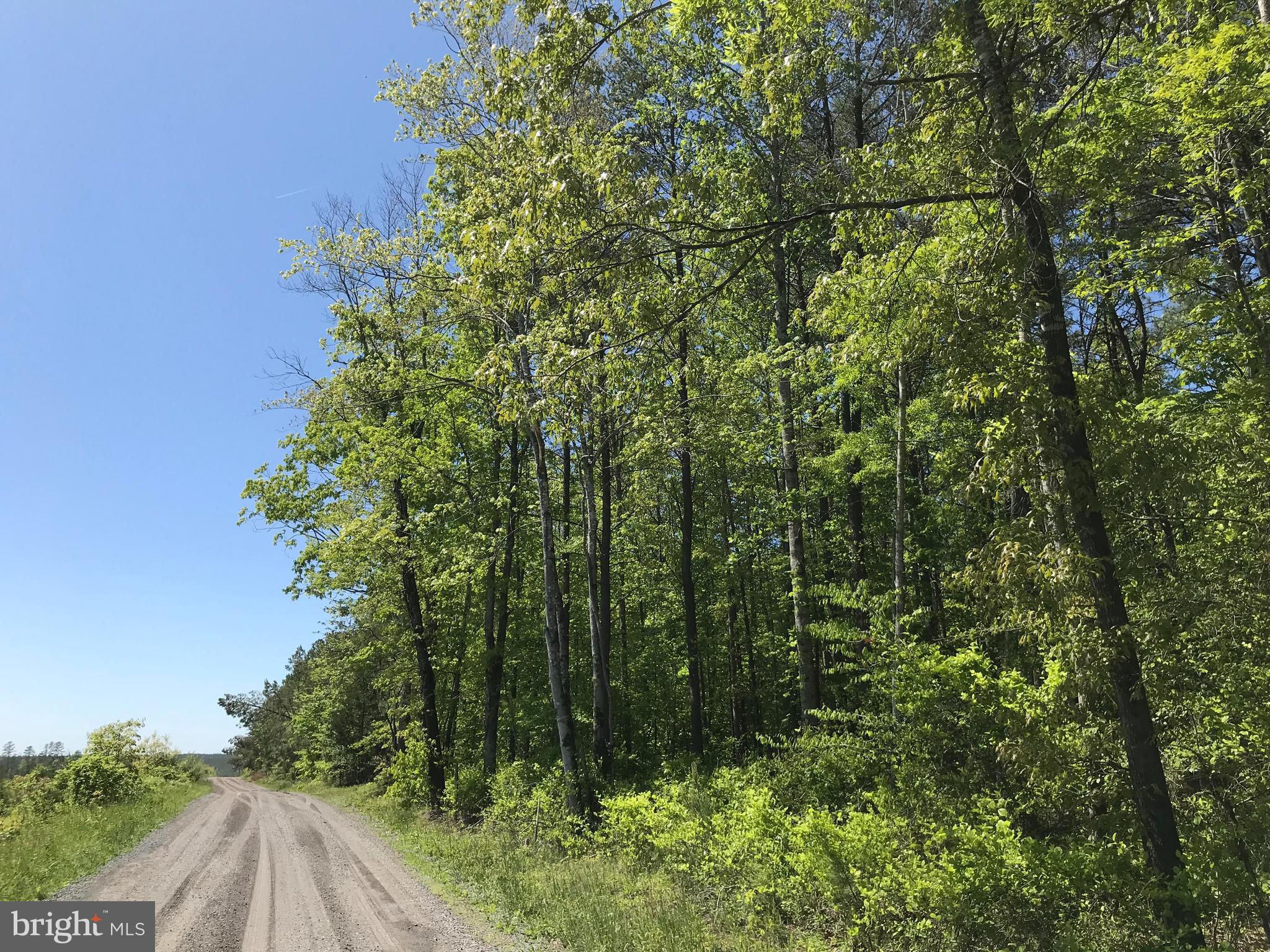 WHISPERING PINES - Land