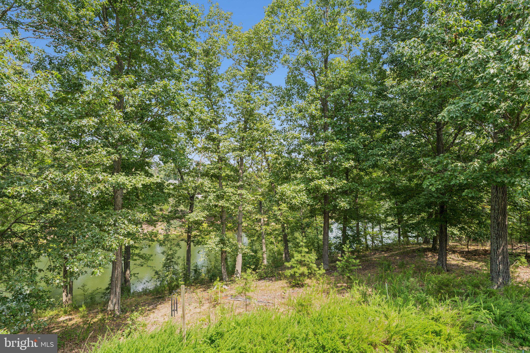 SHENANDOAH - Residential