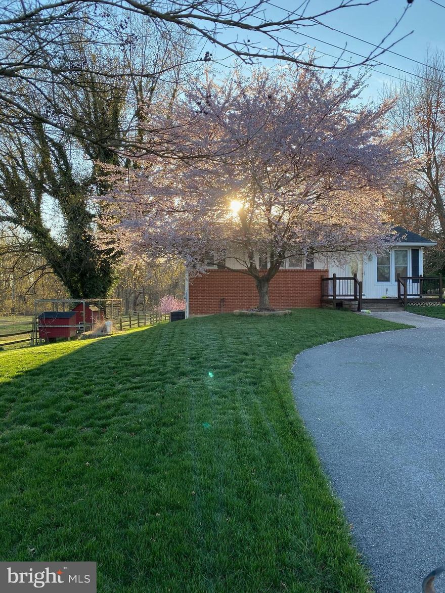 Beautiful Rural Setting across from Schools.  House is Much Larger than it looks. (about 1800 sq feet)  Open Floor Plan, Updated Kitchen,  appliances, hardwood floors.  Large Storage Shed.  Circular drive.  Minutes to the beltway and local beaches.