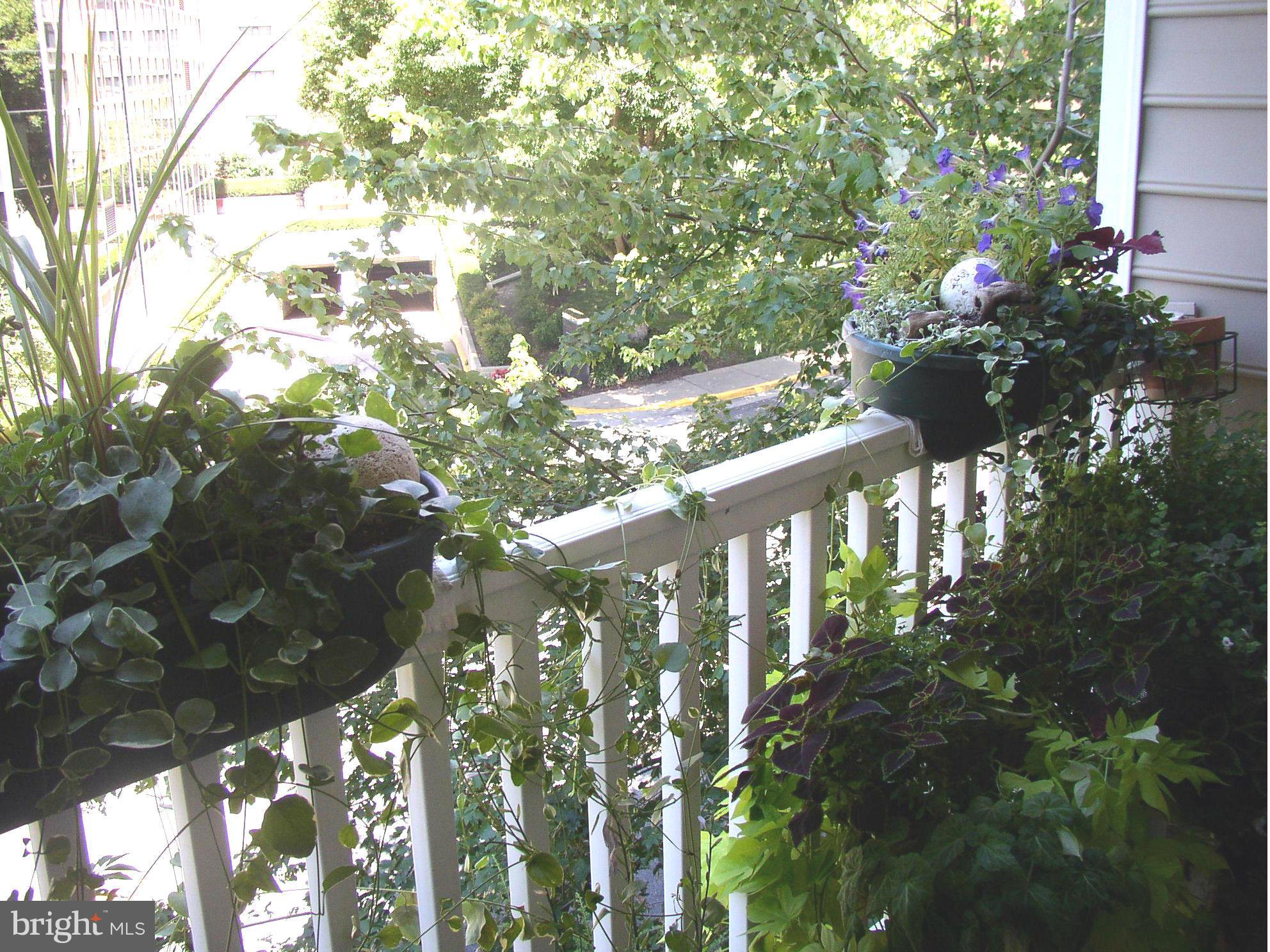 PALAZZO AT PARK CENTER - Residential