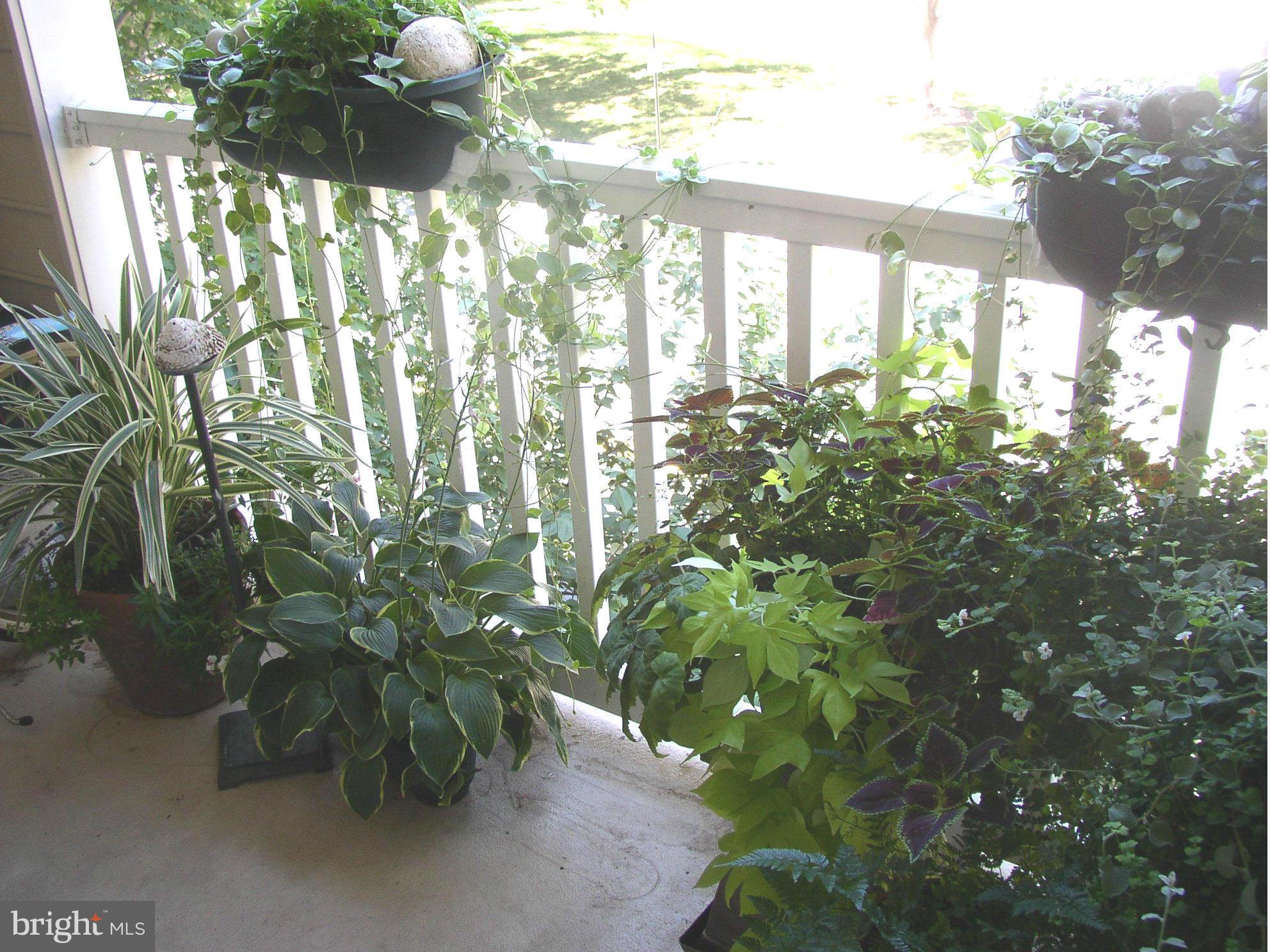 PALAZZO AT PARK CENTER - Residential