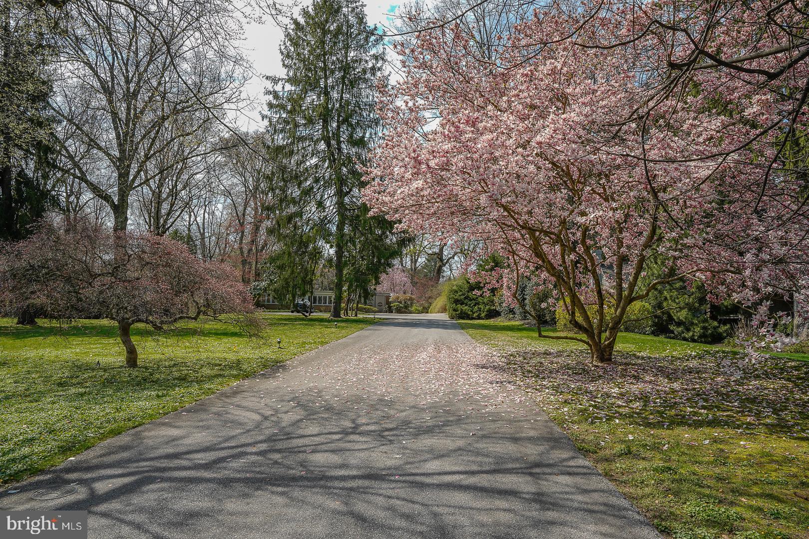 PENN VALLEY - Residential