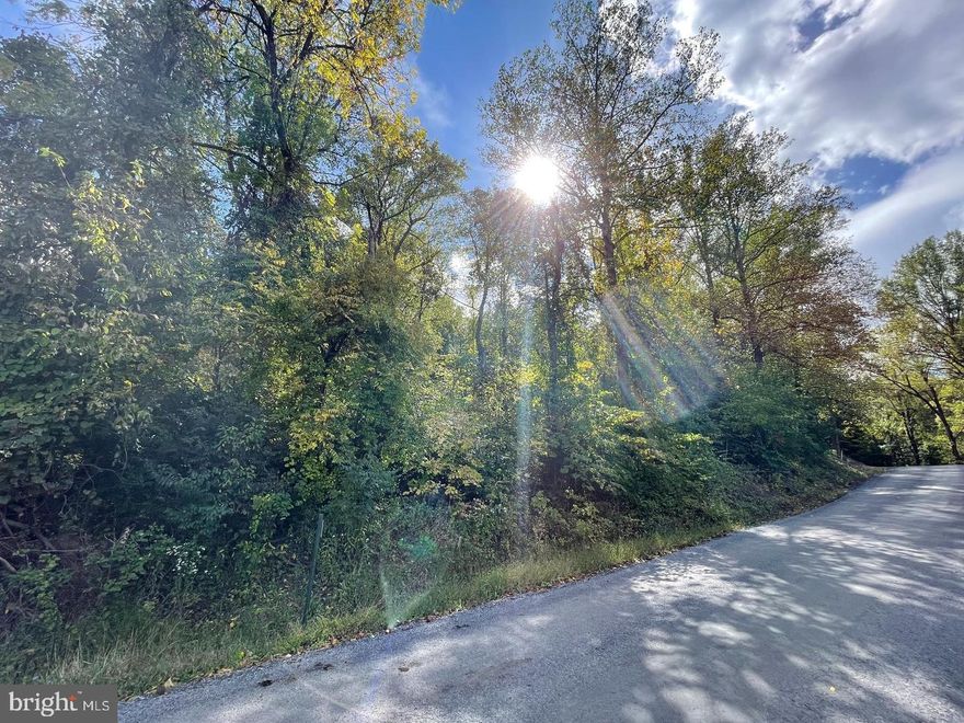 Liquidation sale. Rare opportunity to purchase 7 lots totaling approximately 4.119 acres in Warren County and Shenandoah County, Virginia. Listing lot size reflects the total combined acreage of all 7 lots. Warren County lots: Tax Map #15E 4 4 145 (0.37 acres), Tax Map #7A 1 173 (0.83 acres), and Tax Map #22B S 7 (0.85 acres). Shenandoah County lots: Parcel IDs 066A102 393 (0.45 acres), 066A102 394 (0.349 acres), 066A102 395 (0.582 acres), and 066A102 396 (0.688 acres). Offered as a package sale. Individual lot sales will not be considered unless separately advertised in the MLS. Buyers are responsible for conducting their own due diligence and verifying all information. Seller financing may be available for qualified buyers.