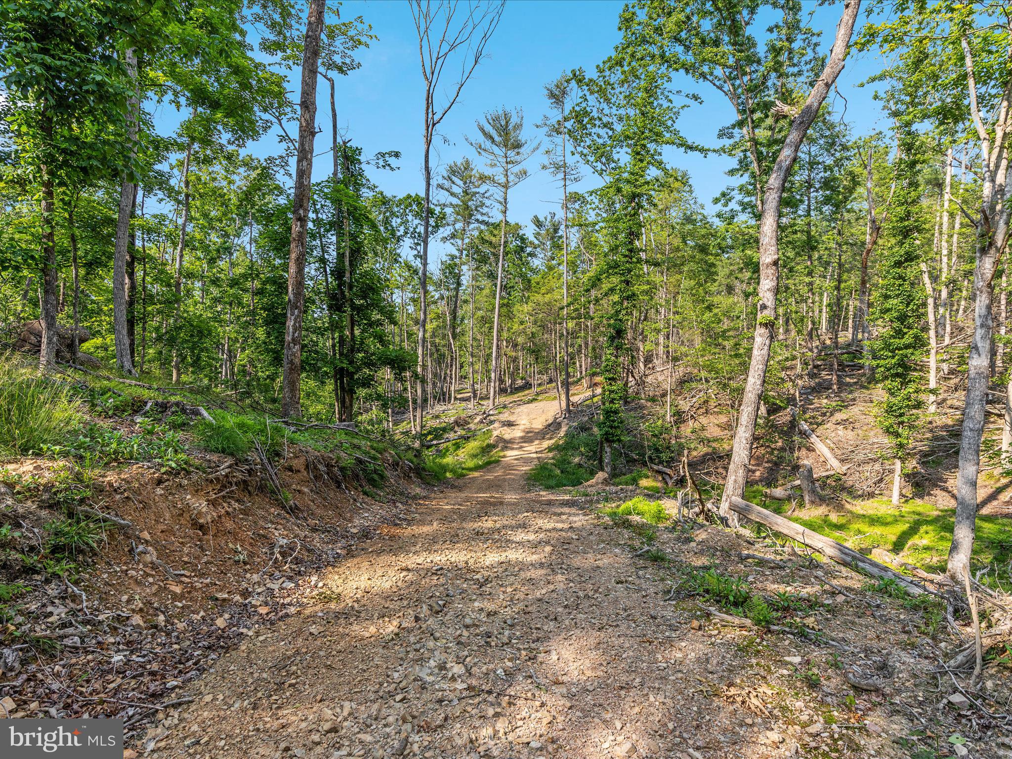 QUAIL ROAD