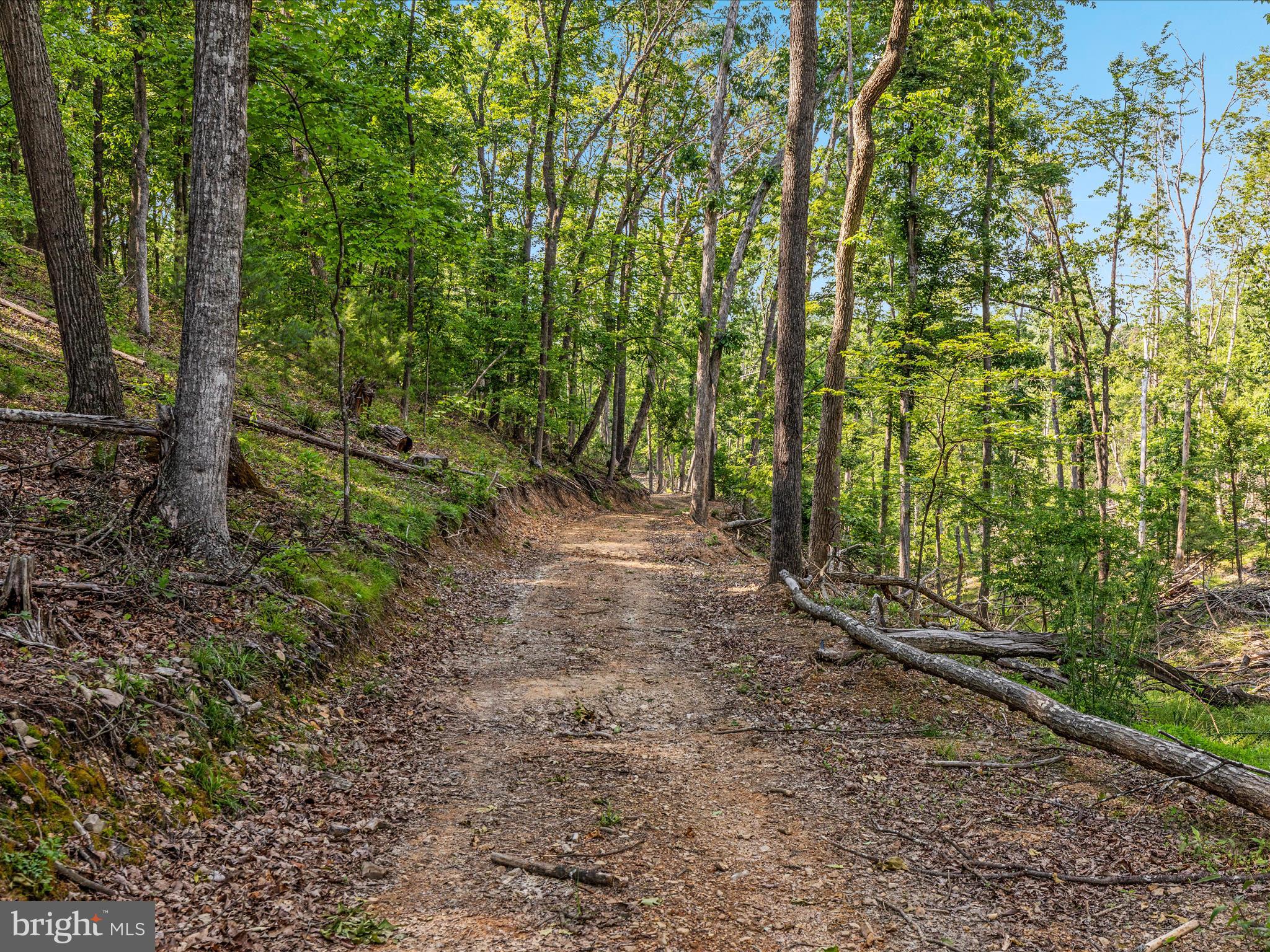 QUAIL ROAD
