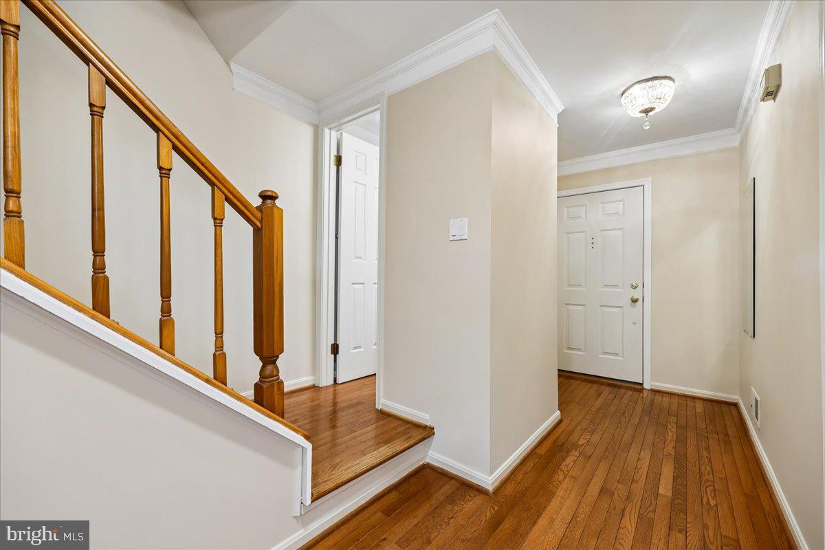 2459 MCCORMICK ROAD