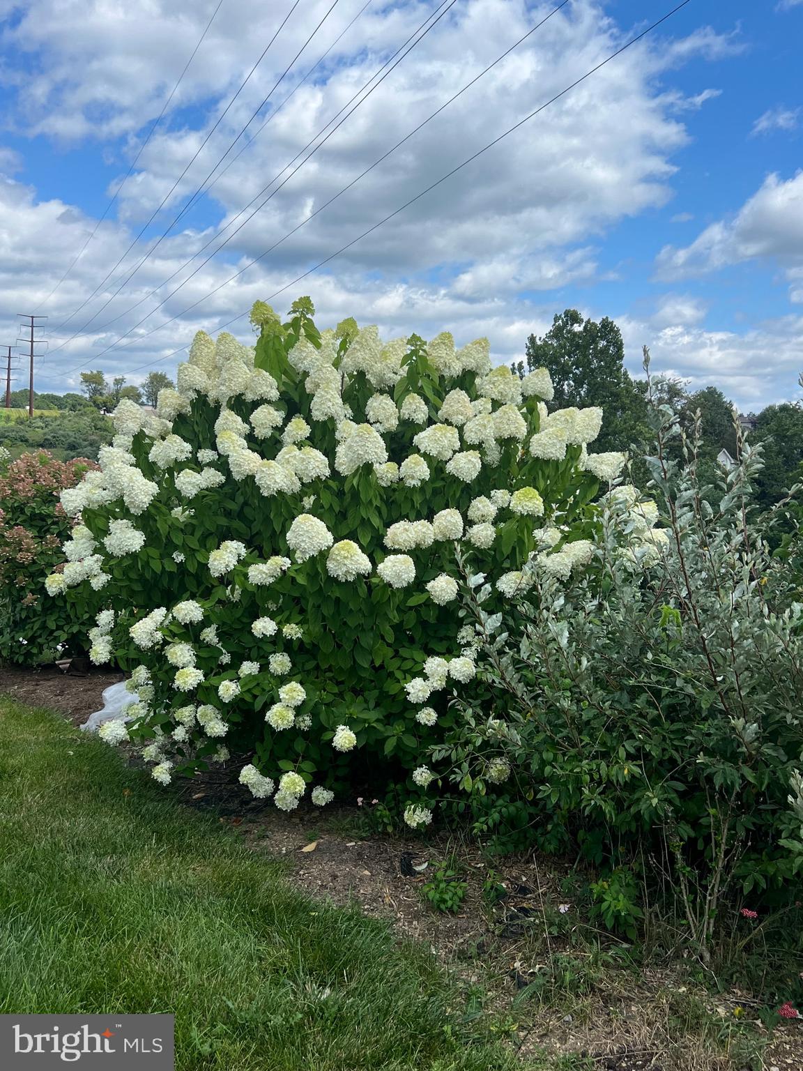 BUMBLE BEE HOLLOW - Residential
