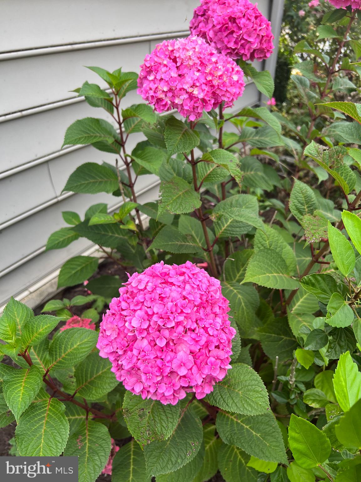 BUMBLE BEE HOLLOW - Residential