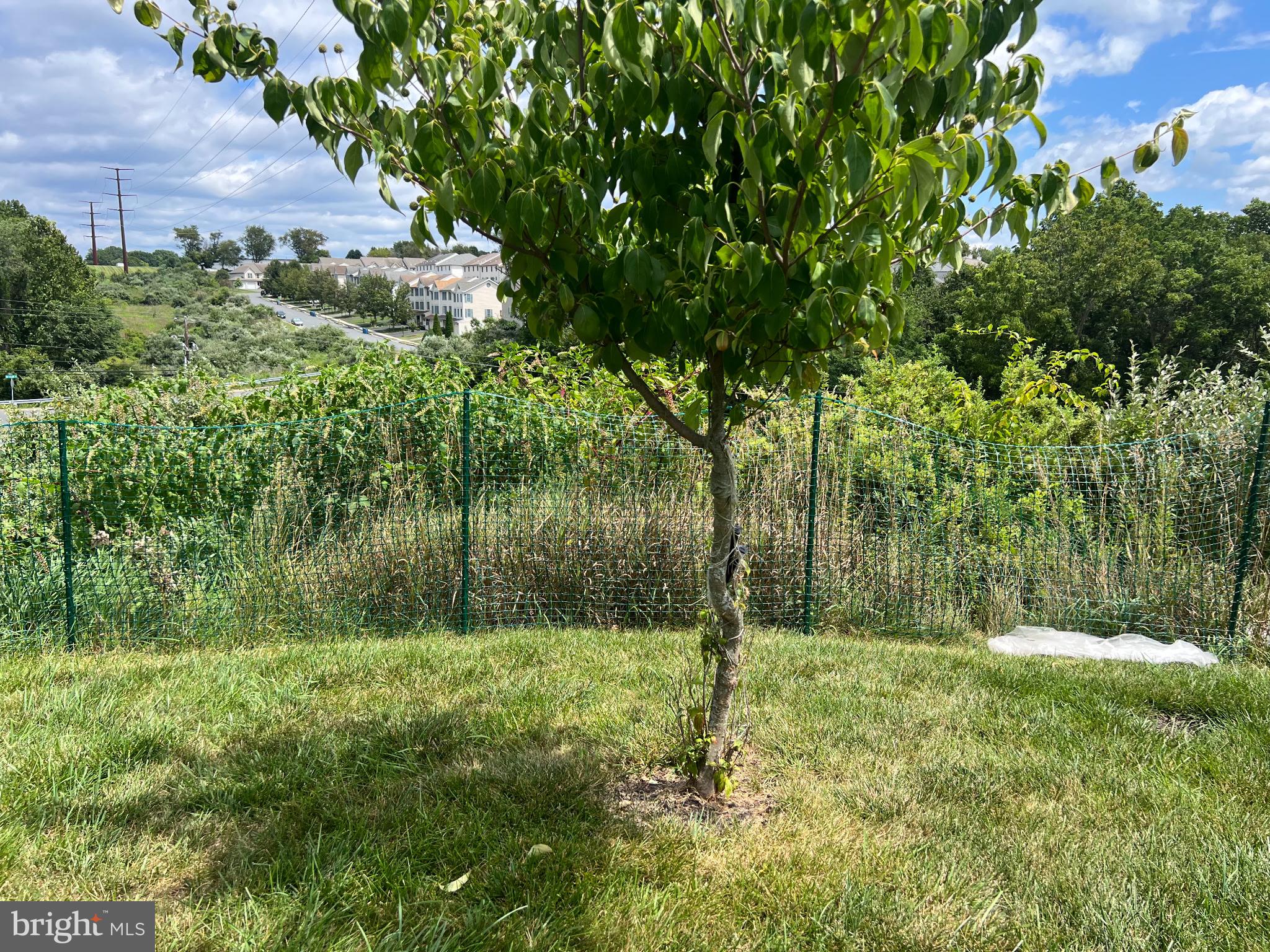 BUMBLE BEE HOLLOW - Residential