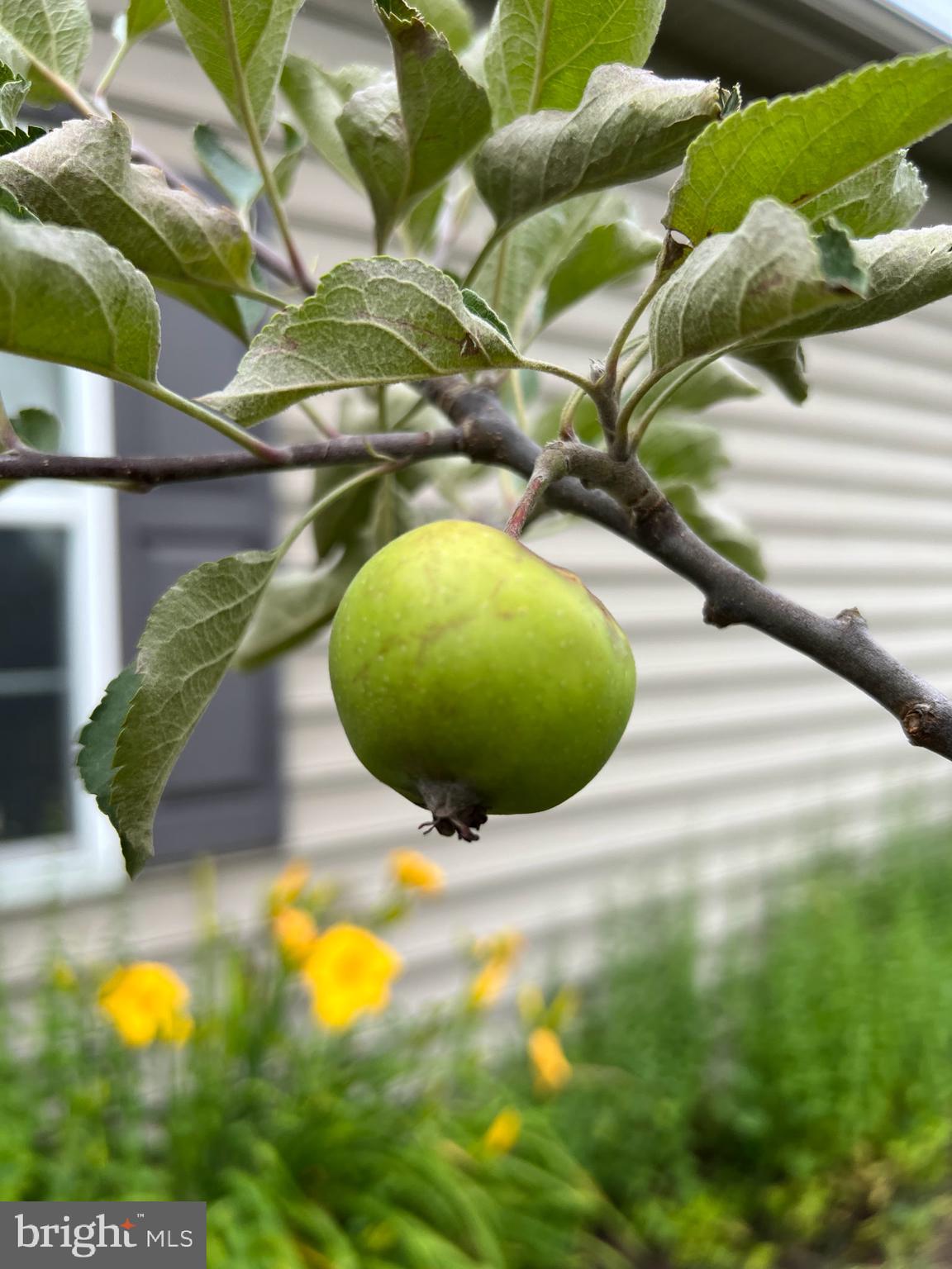 BUMBLE BEE HOLLOW - Residential